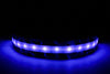 Blue Water Navy