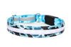 Ice Water Navy