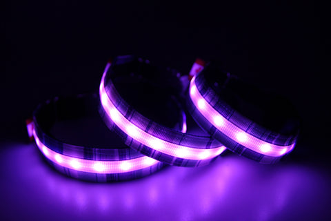 Grape Jelly (Low Beams)