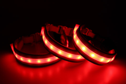 Reflective Red (Low Beams)
