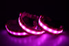 Sergeant Pink (Low Beams)